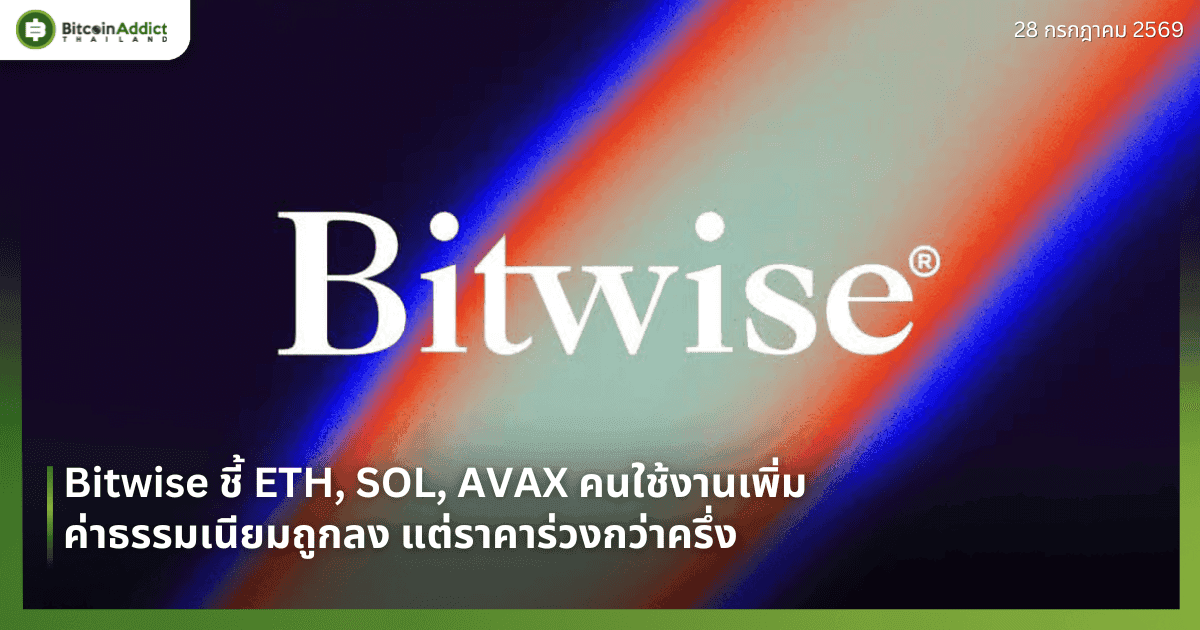 Bitwise ชี้ ETH, SOL, AVAX คนใช้งานเพิ่ม ค่าธรรมเนียมถูกลง แต่ราคาร่วงกว่าครึ่ง