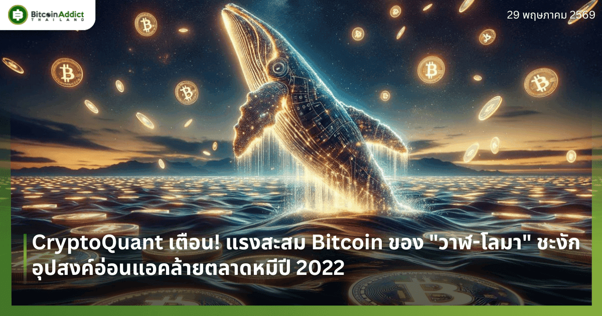 CryptoQuant เตือน! แรงสะสม Bitcoin ของ "วาฬ-โลมา" ชะงัก อุปสงค์อ่อนแอคล้ายตลาดหมีปี 2022